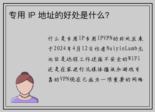 专用 IP 地址的好处是什么？ 